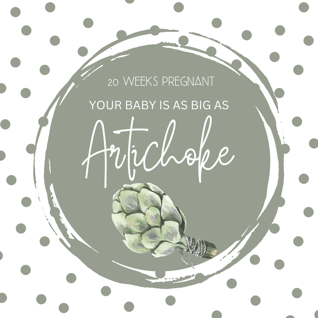 20 Weeks Pregnant-Navigating the Midpoint of Your Pregnancy