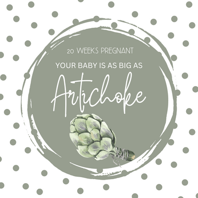 20 Weeks Pregnant-Navigating the Midpoint of Your Pregnancy