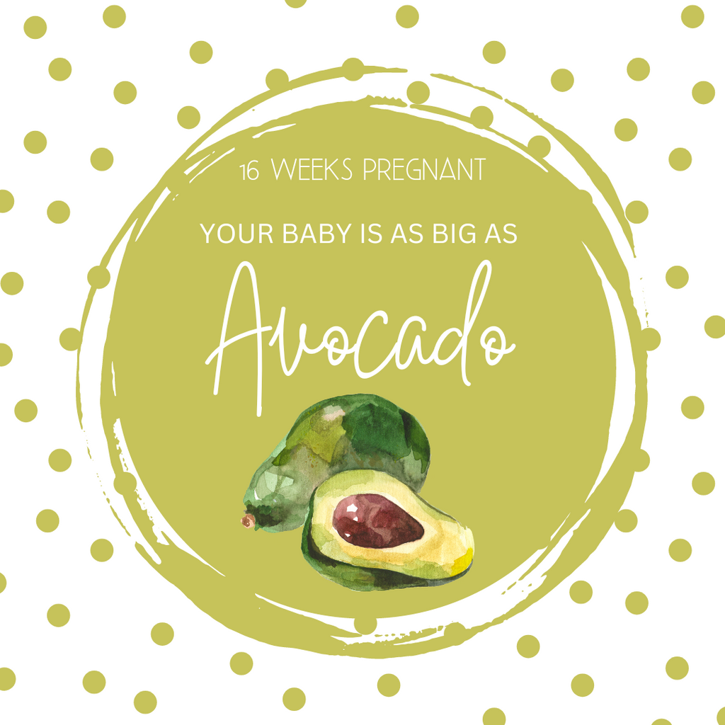 16 Weeks Pregnant-Baby's Growth and Maternal Milestones Unveiled