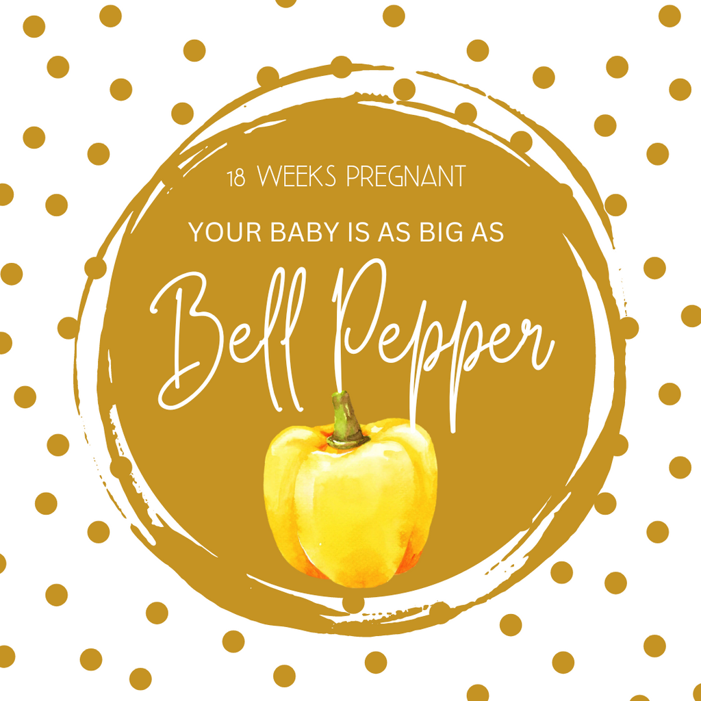 18 Weeks Pregnant-Milestone Moments and Growing Baby Bump