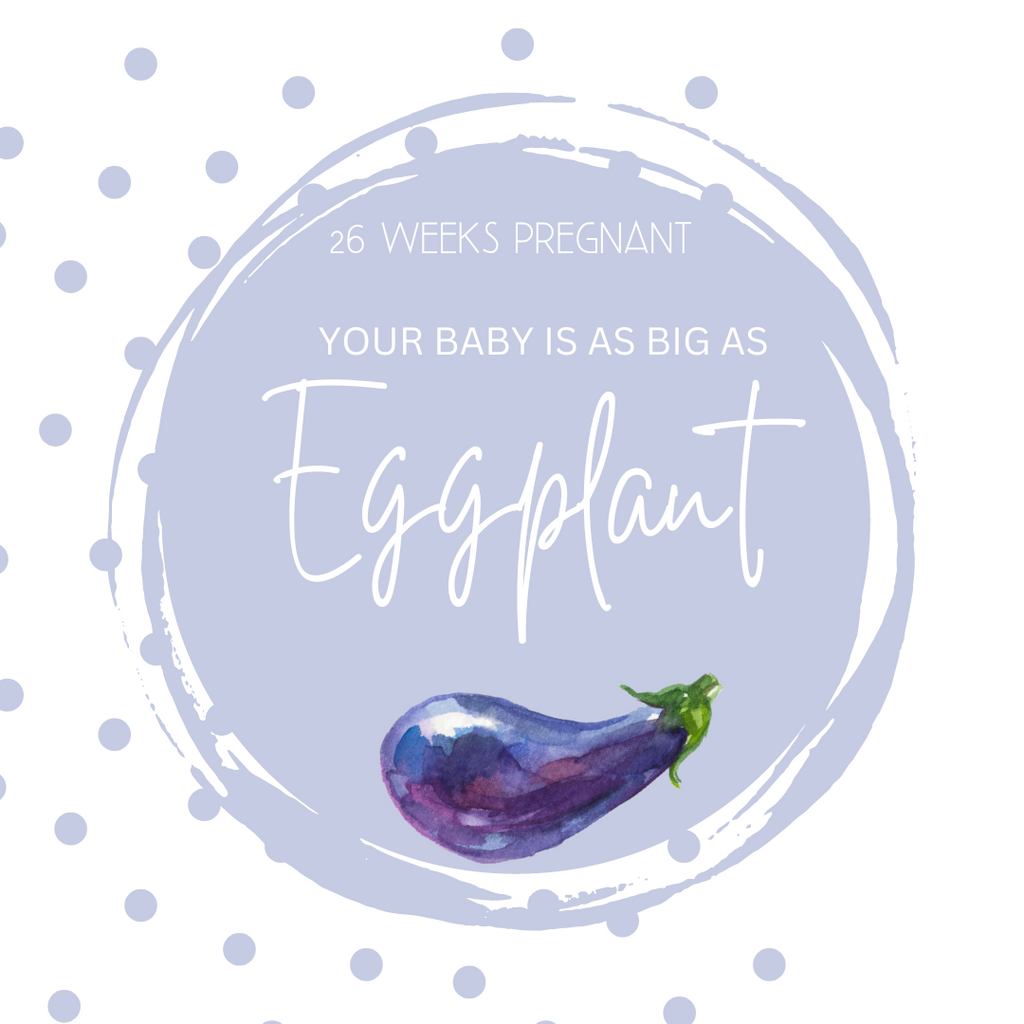 26 Weeks Pregnant-Navigating the Final Trimester with Snugkins