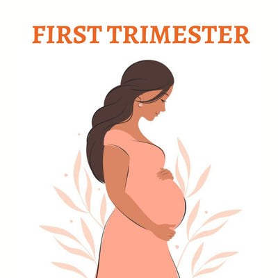 First Trimester