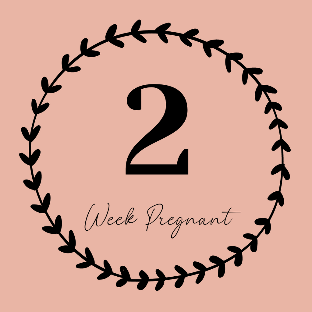 2 weeks pregnant-Early Signs and Preparation Tips