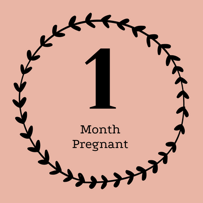 1 Month Pregnant