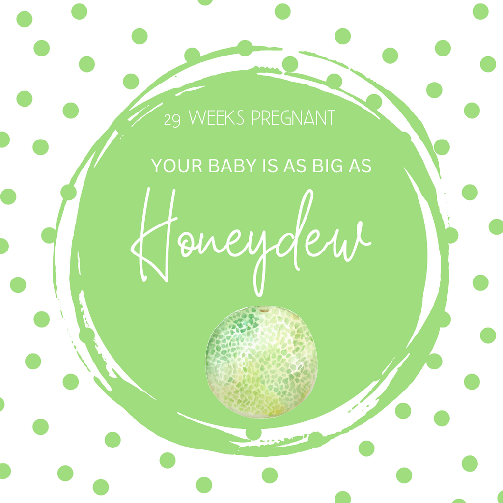 29 Weeks Pregnant