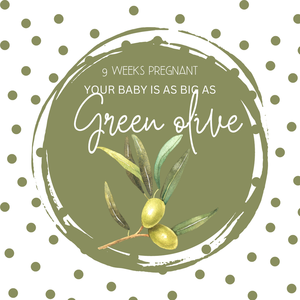 9 Weeks Pregnant- Your baby's development, body changes, and symptoms