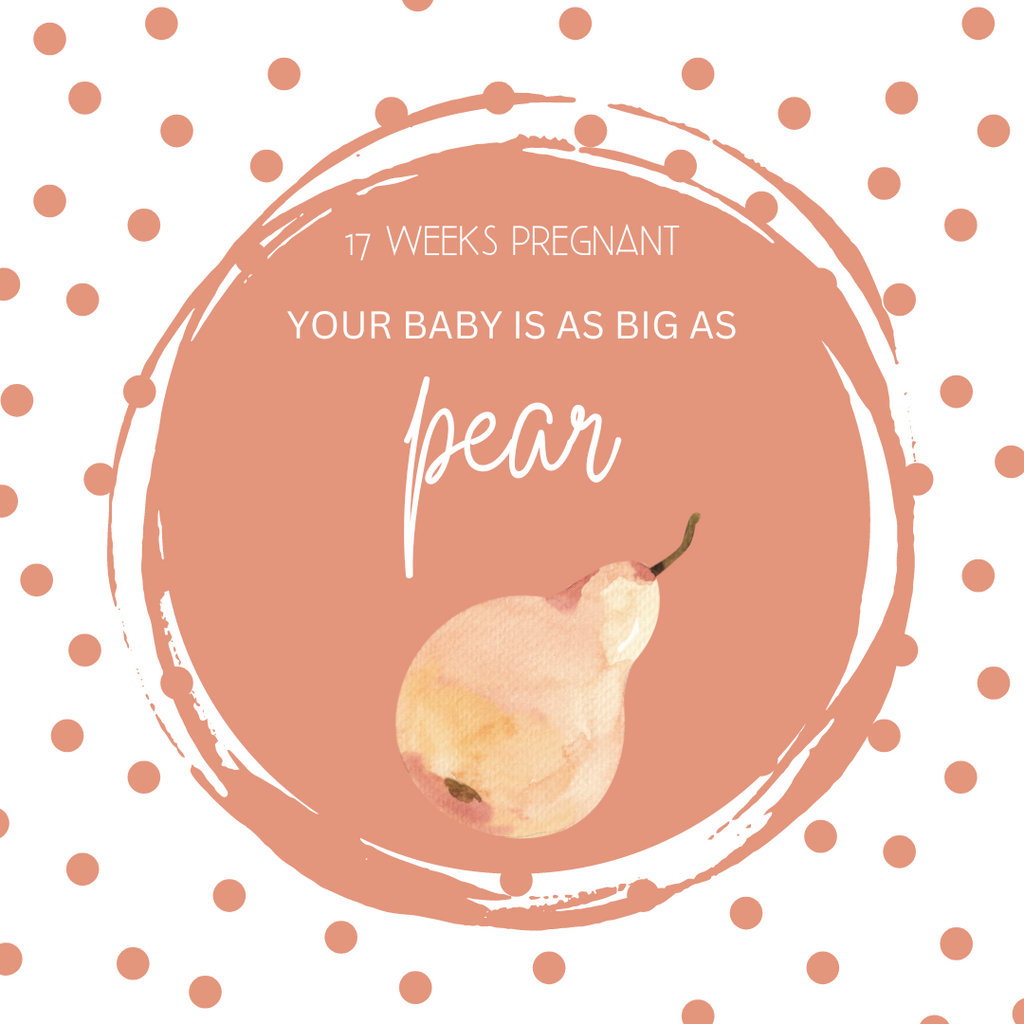 17 Weeks Pregnant-Growing Bump