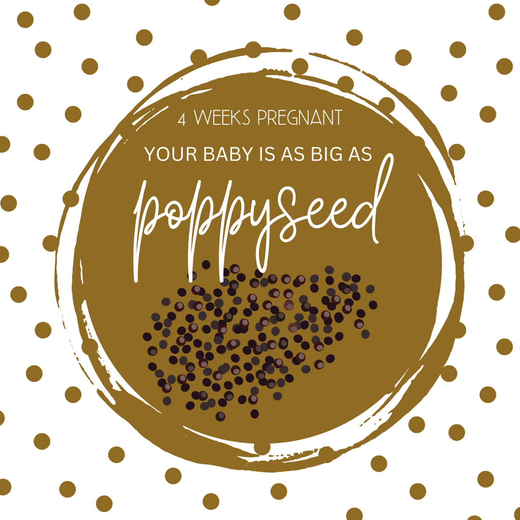 4 Weeks Pregnant-Early Signs, Symptoms & Care- snugkins