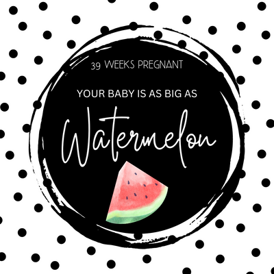 39 Weeks Pregnant-final stage of pregnancy