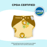 New Age Cloth Diapers with Soaker and Booster - Pack of 2