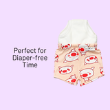 Potty Training Shorts - Pack of 12