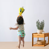 cloth diaper reusable