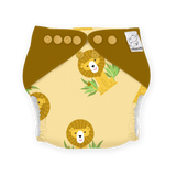 CRAZY DEAL - Buy 2 New Age Cloth Diapers Get 1 Booster Free