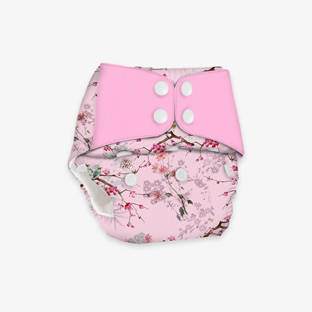 Blooming Dale - Regular Cloth Diapers with Soaker Booster for 3month -3 years
