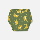 Disco Sheru - Regular Cloth Diapers with Soaker for 3month -3 years