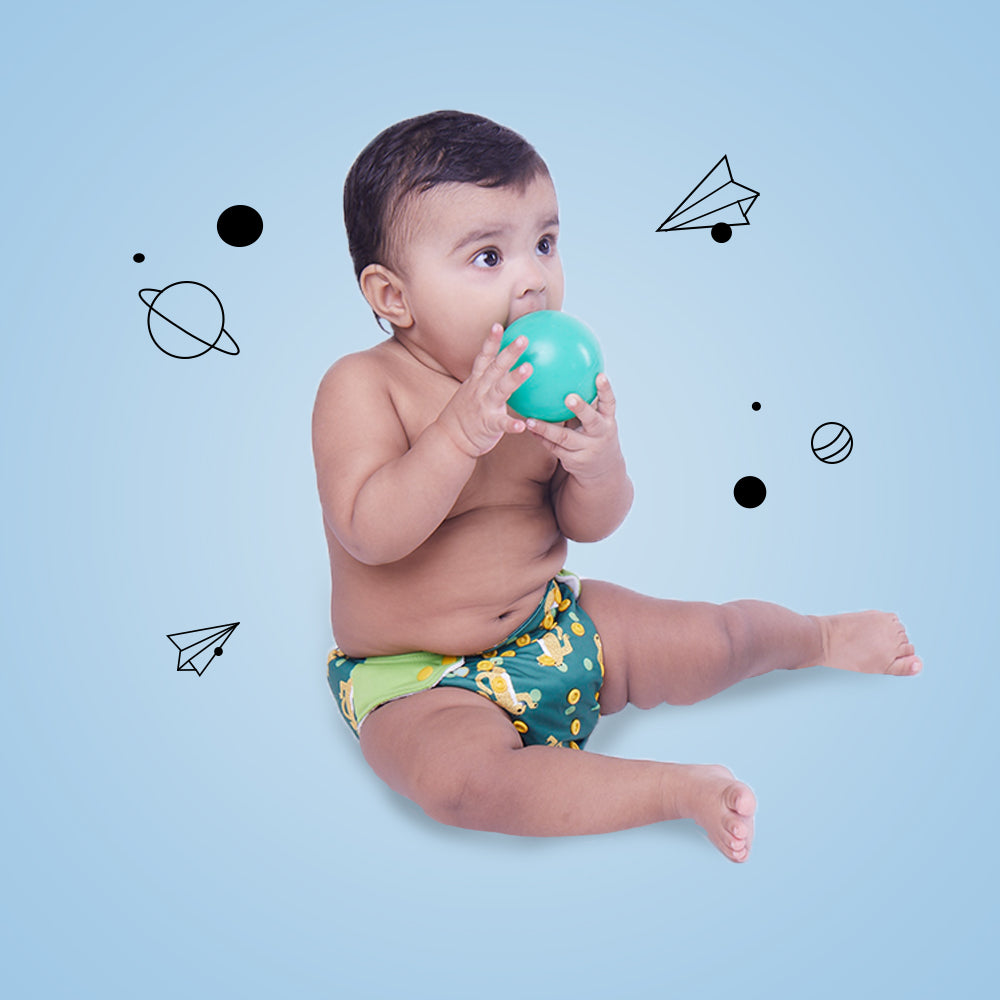 Disco Sheru - Regular Cloth Diapers with Soaker for 3month -3 years