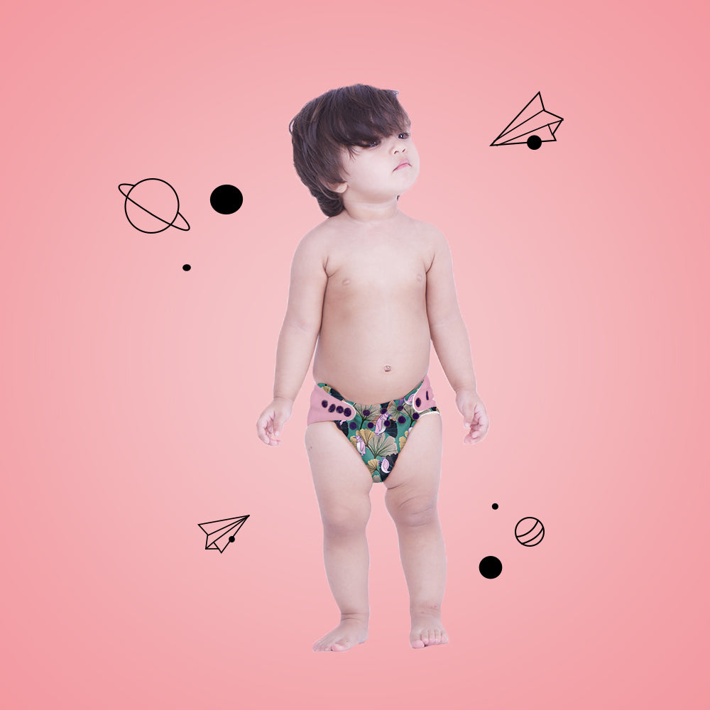 Ginkgo Glee - New-Age Cloth Diapers for 3month -2 years