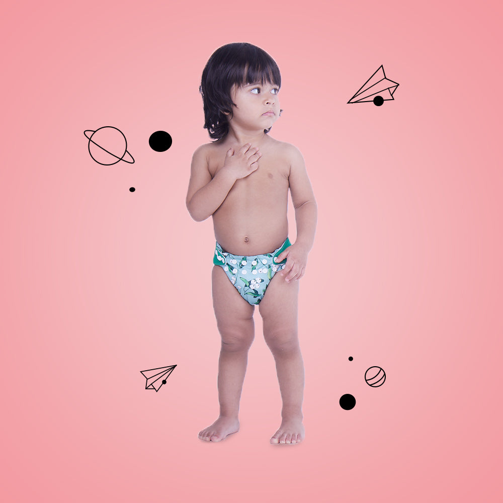 Cheer-y Berries - New - Age Cloth Diapers for 3month -2 years