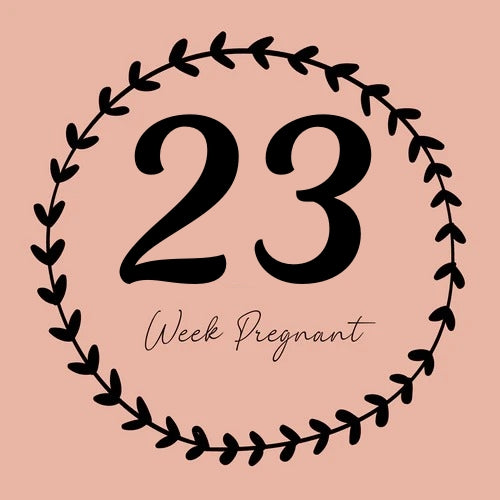 23 Weeks Pregnant in Hindi : 23 हफ्ते की गर्भावस्था .