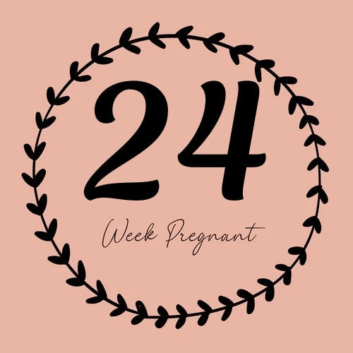 24 Weeks Pregnant in Hindi : 24 हफ्ते की गर्भावस्था