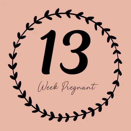 13 Week Pregnancy in Hindi - 13 हफ्ते की गर्भावस्था