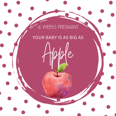 15 Weeks Pregnant-Milestones, Symptoms, and Baby Development Explained