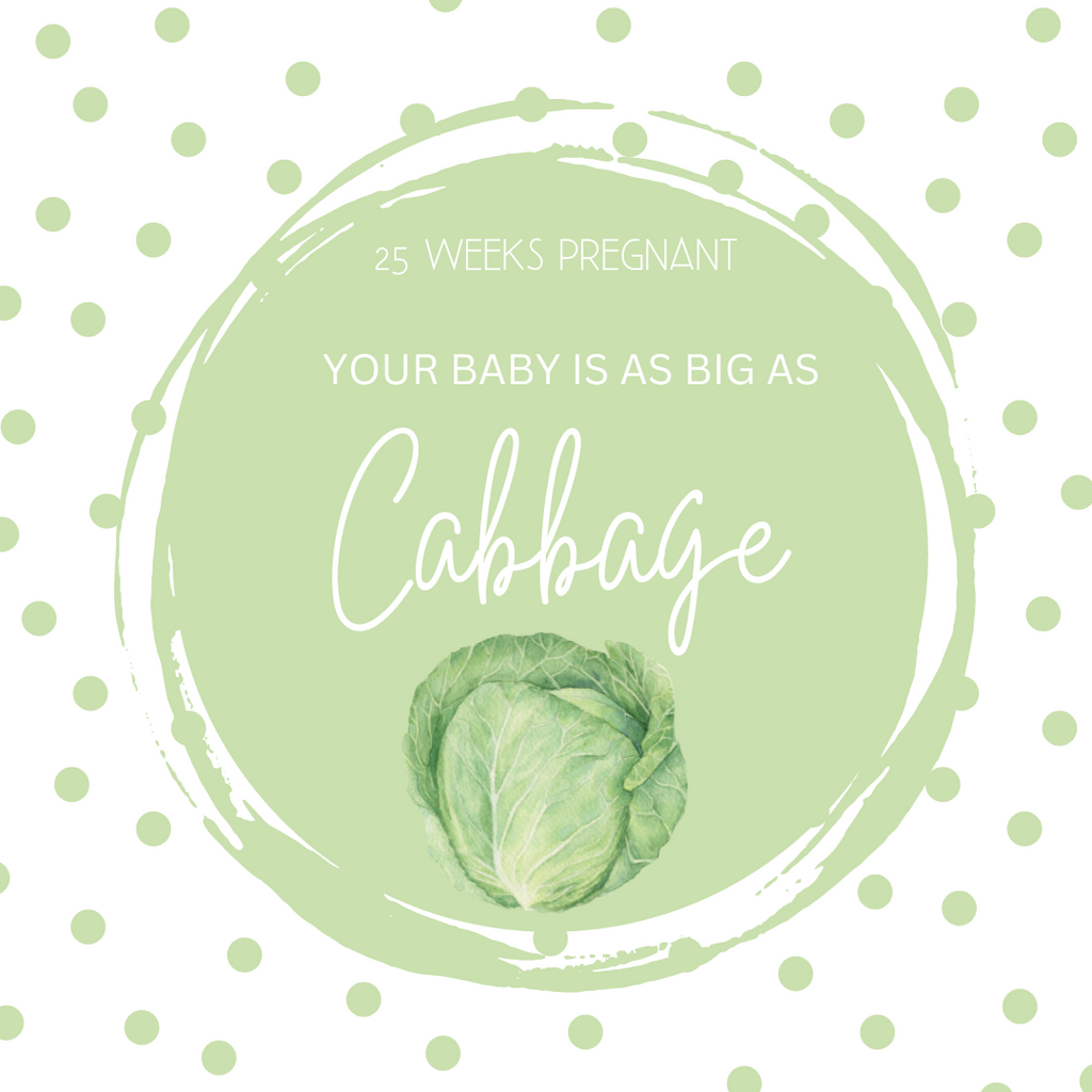 25 Weeks Pregnant-Celebrating Milestones and Embracing Baby Bumps