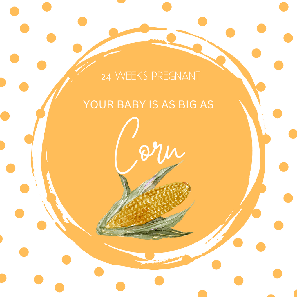24 Weeks Pregnant-Celebrating Milestones on Your Beautiful Journey
