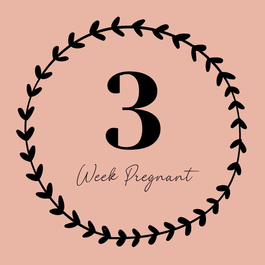 3 Weeks Pregnant-Symptoms, Development, and Tips