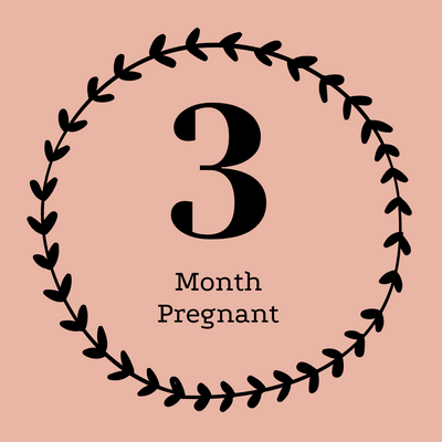 3 Months Pregnant
