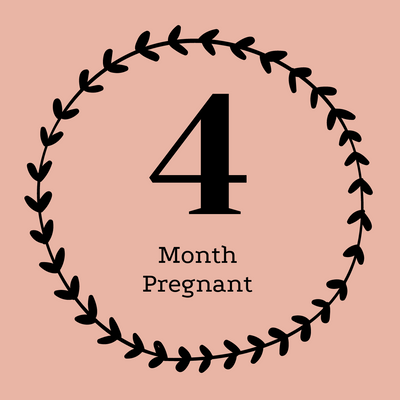 4 Months Pregnant