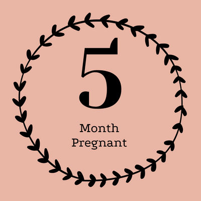 5 Months Pregnant