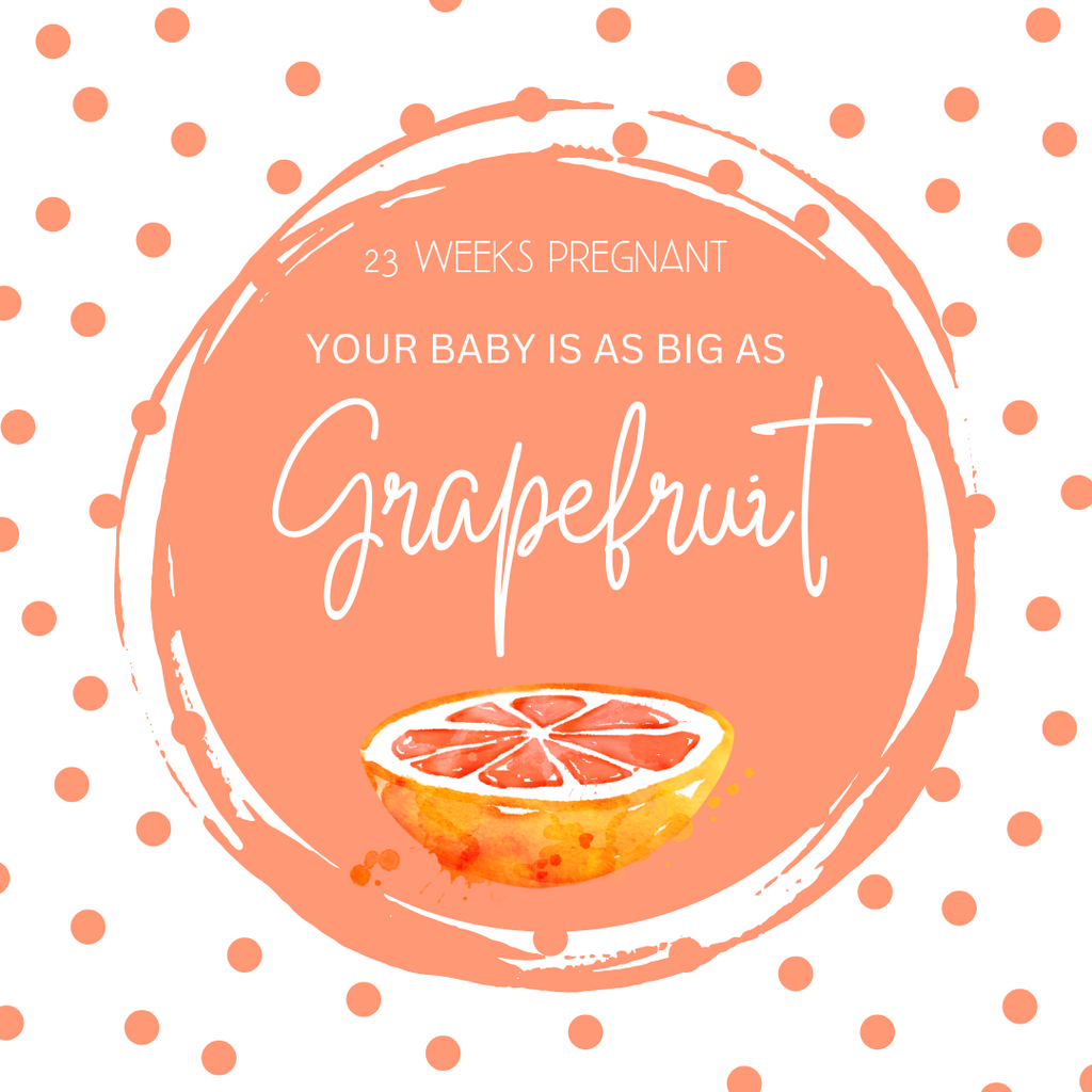 23 Weeks Pregnant