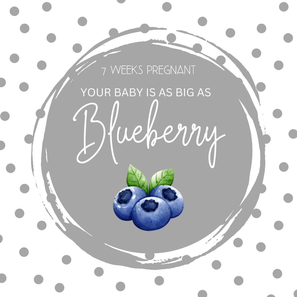 7 Weeks Pregnant: Your Comprehensive Guide to This Exciting Journey –  Snugkins