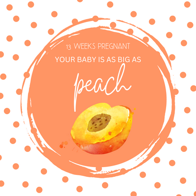 13 Weeks Pregnant-Symptoms, Tips, and Development