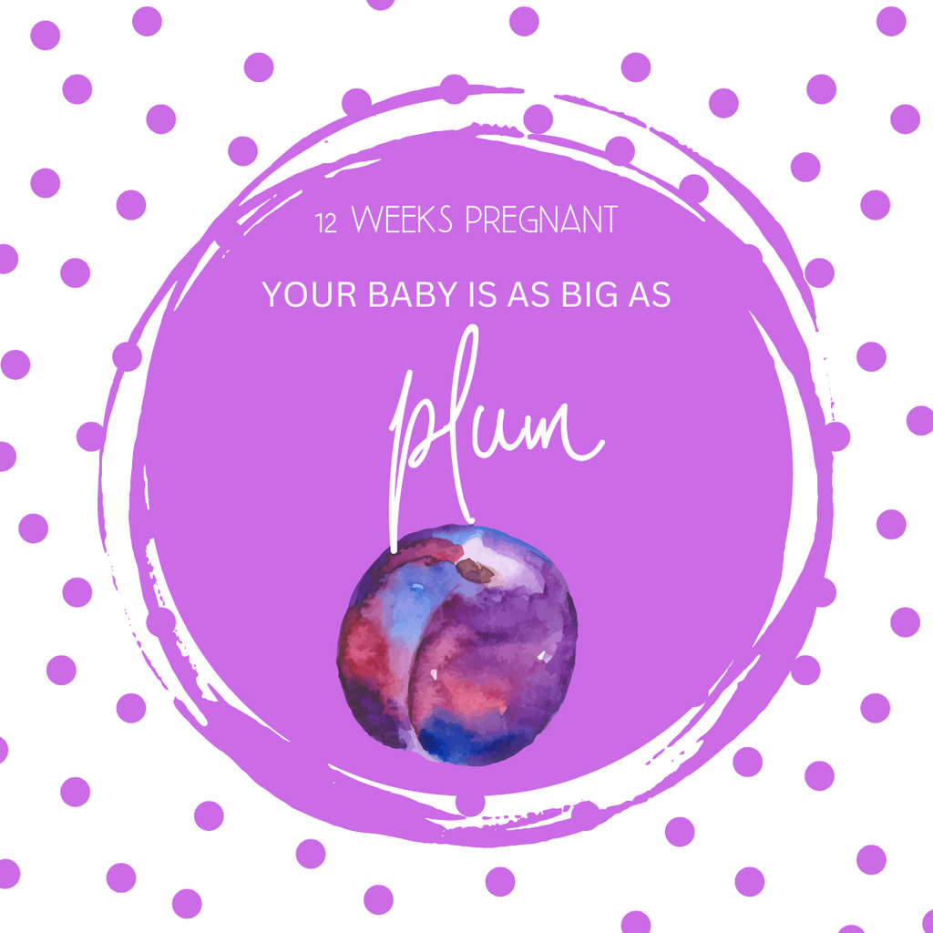 Things to Keep in Mind at 12 Weeks Pregnant