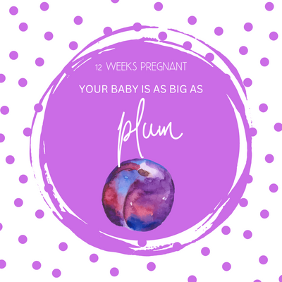 Things to Keep in Mind at 12 Weeks Pregnant
