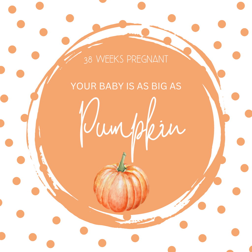 38 Weeks Pregnant-Preparing for the Arrival of Your Baby