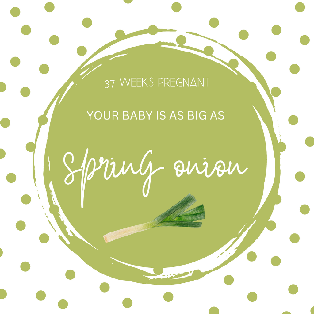 37 Weeks Pregnant-Your Baby's Final Growth Spurt