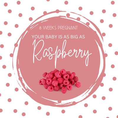 8 weeks pregnant What to Expect and Essential Tips for Moms-to-Be