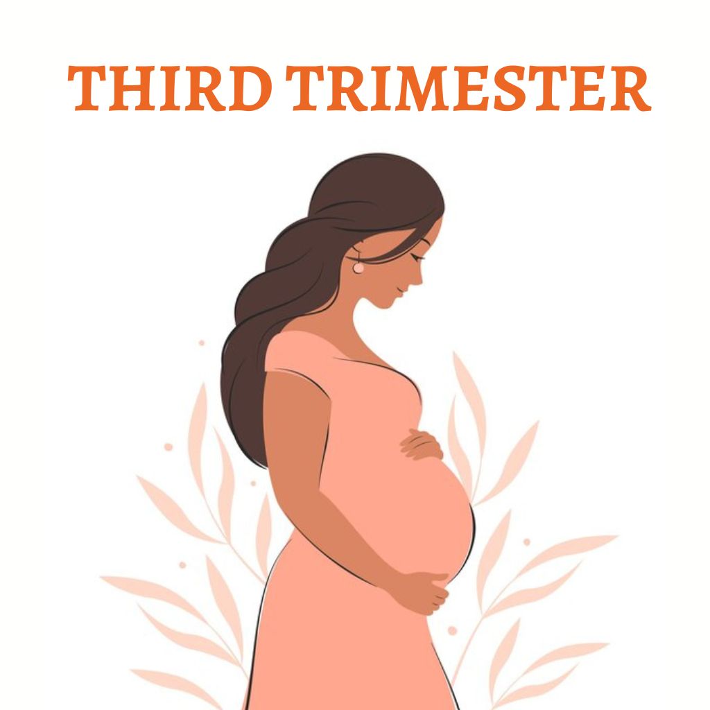Embracing the Home Stretch: Nurturing Joy and Anticipation in the Third  Trimester – Snugkins
