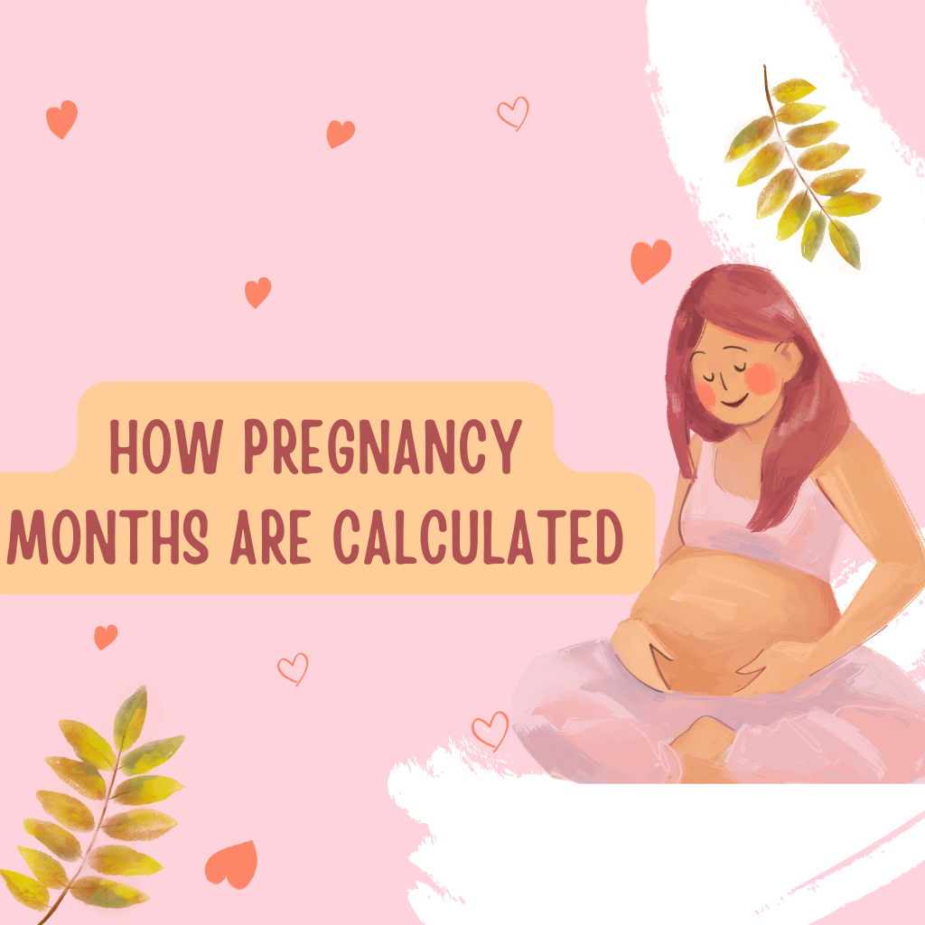 How Pregnancy Months Are Calculated