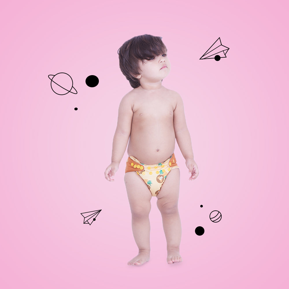 New-Age Cloth Diapers with Soaker and Booster - Pack of 5