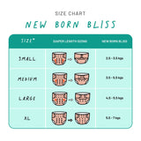 New Born Bliss Cloth Diapers with Soaker and Booster - Pack of 4